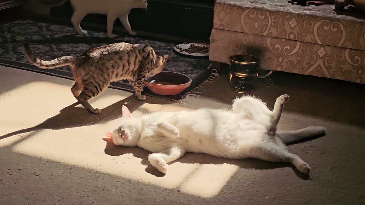 Игра, которая не перевозбуждает